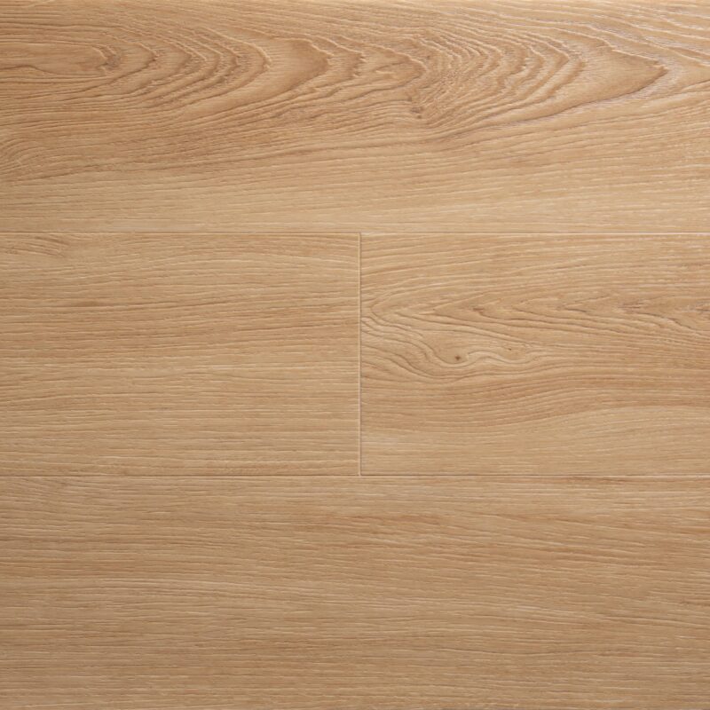 Amber - Image 2