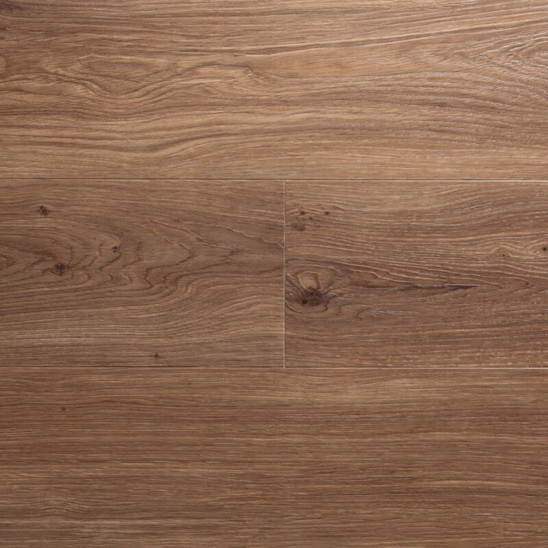 Hazelnut - Image 2