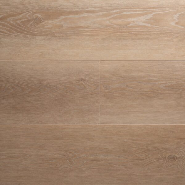 Almond - Image 2