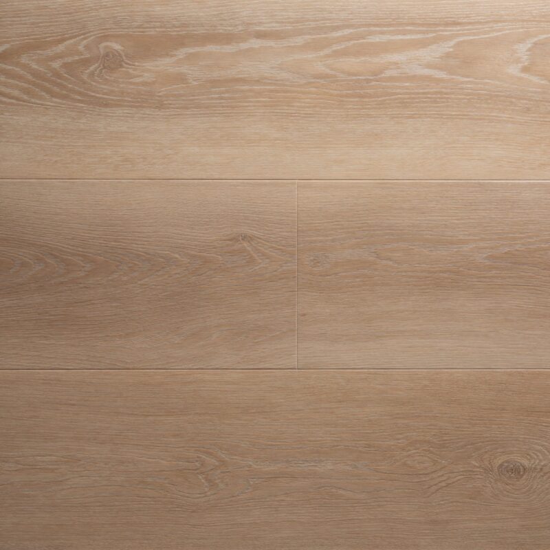 Almond - Image 2
