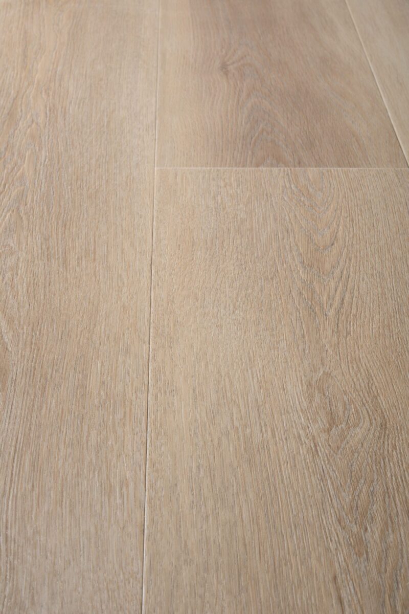 Ivory - Image 3
